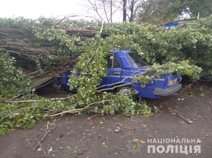 Последствия непогоды в Херсонской области, фото: Национальная полиция