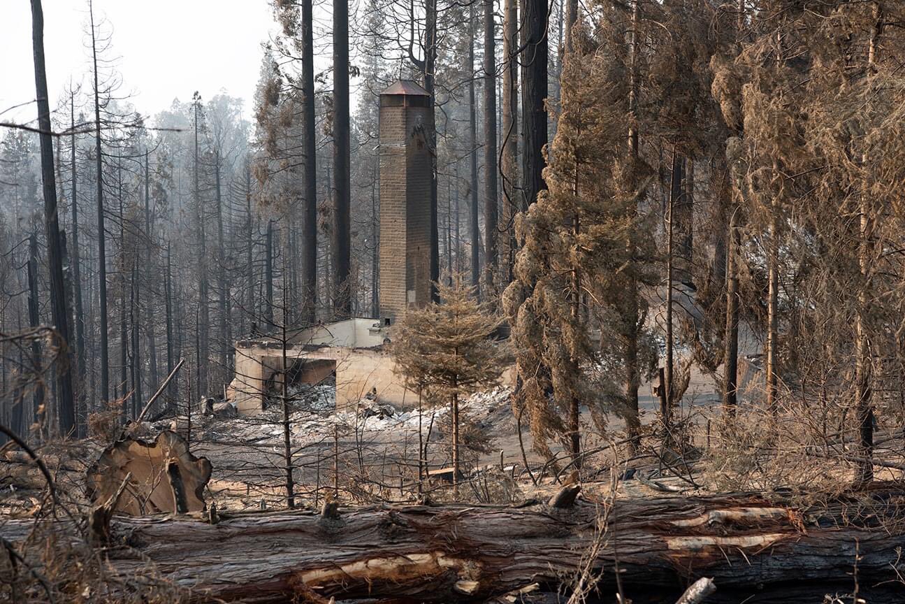 Пожежі у Каліфорнії / Фото: Peter Maiden, Твіттер