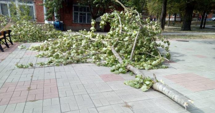 Последствия непогоды в Харькове, фото: «Суспільне»