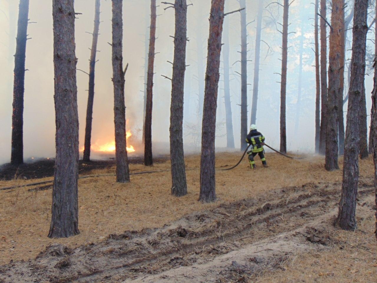 Лесные пожары усилились на Луганщине. Фото: ГСЧС