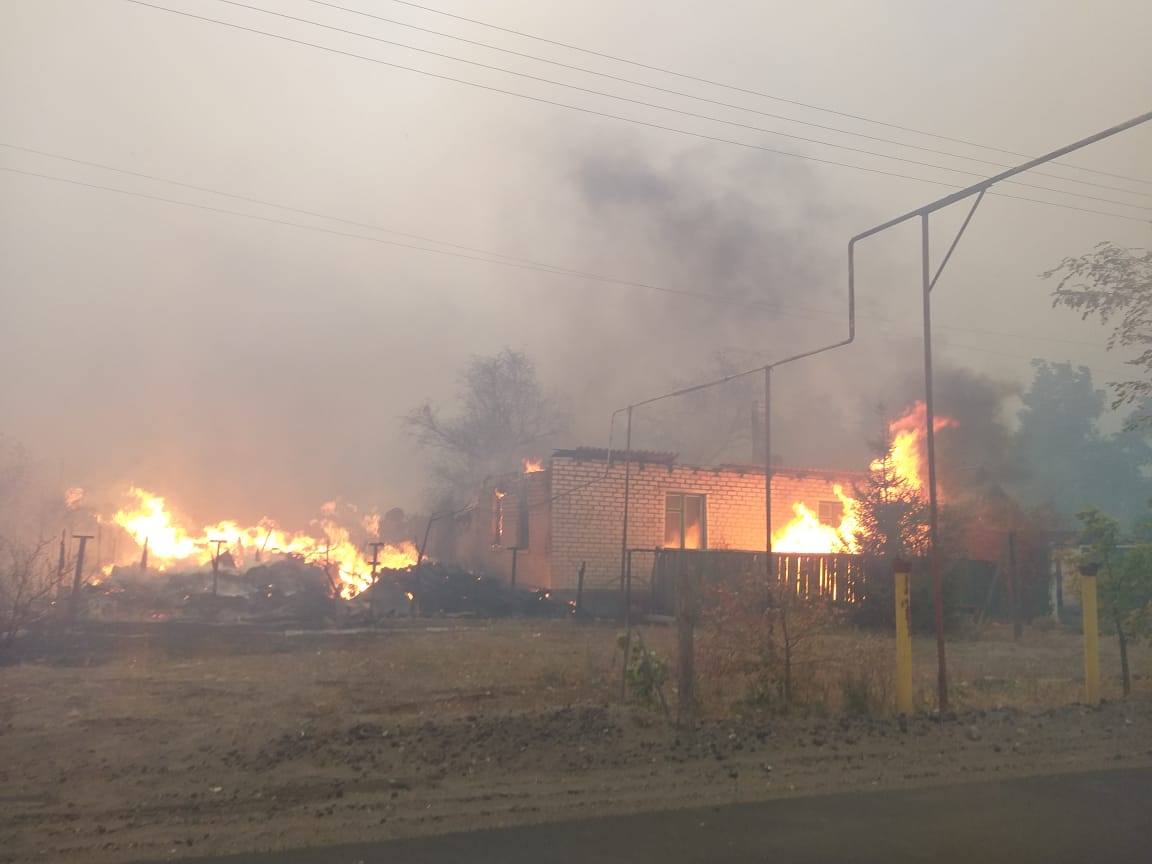 Лесные пожары на Луганщине. Фото: полиция Луганской области