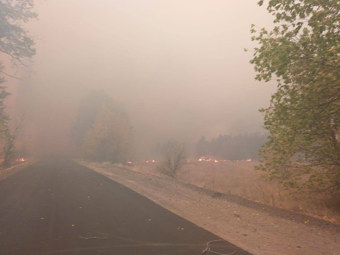 Лісові пожежі на Луганщині. Фото: поліція Луганської області