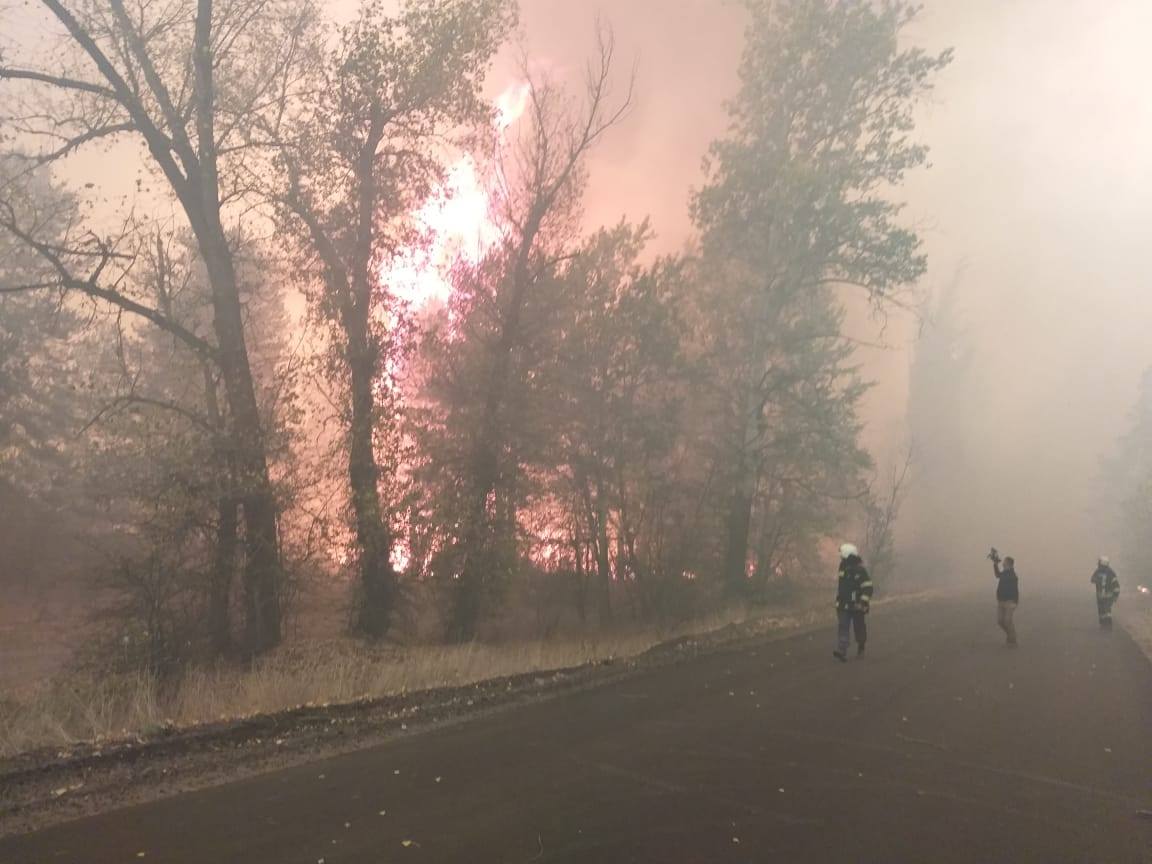 Лесные пожары на Луганщине. Фото: полиция Луганской области