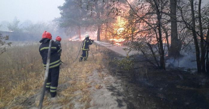 На Луганщині тривають масштабні лісові пожежі, фото: Офіс генпрокурора