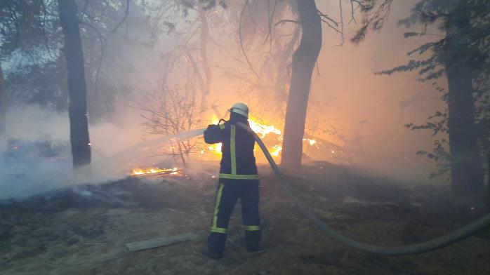Пожежі на Луганщині. Фото: ДСНС