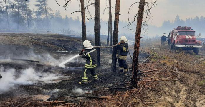 Фото обгоревших людей после пожара