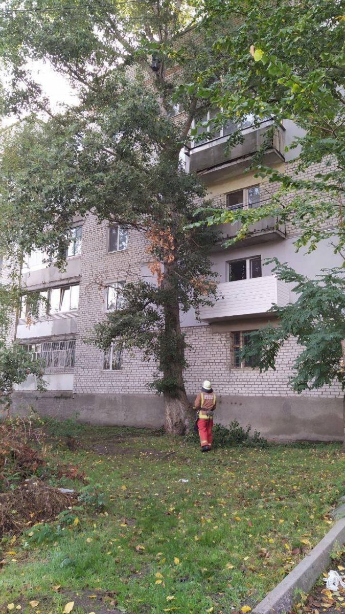 На Кіровоградщині рятувальники врятували місцевого жителя, фото: ДСНС