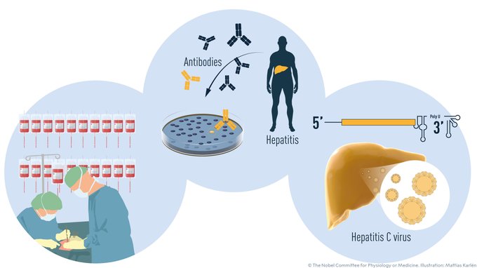 Нобелевку по медицине присудили ученым-открывателям гепатита С, фото — Твиттер Нобелевской премии