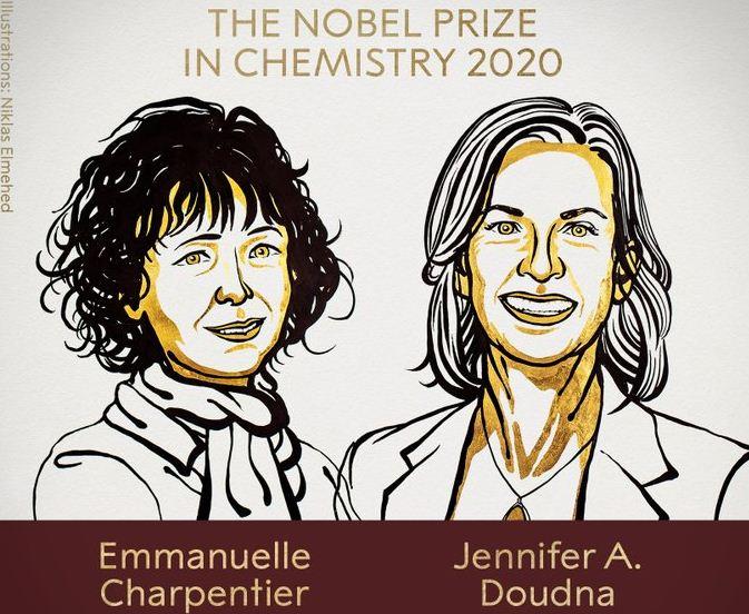 Нобелевскую премию по химии дали за создание метода редактирования геномов, фото — Твиттер Нобелевской премии