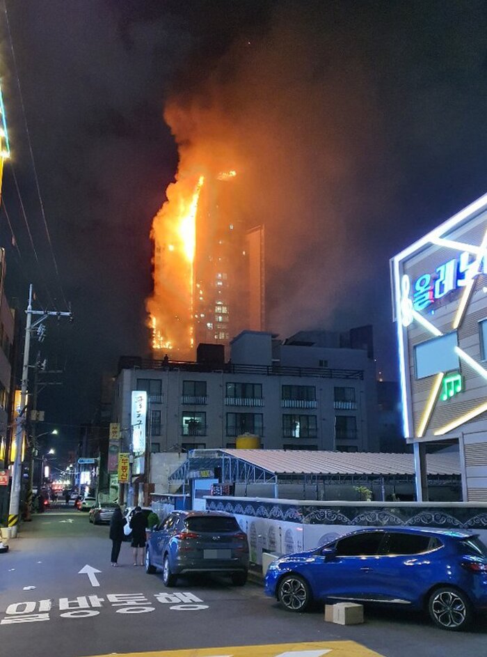 Масштабный пожар в Южной Корее. Фото: catscdn.vn