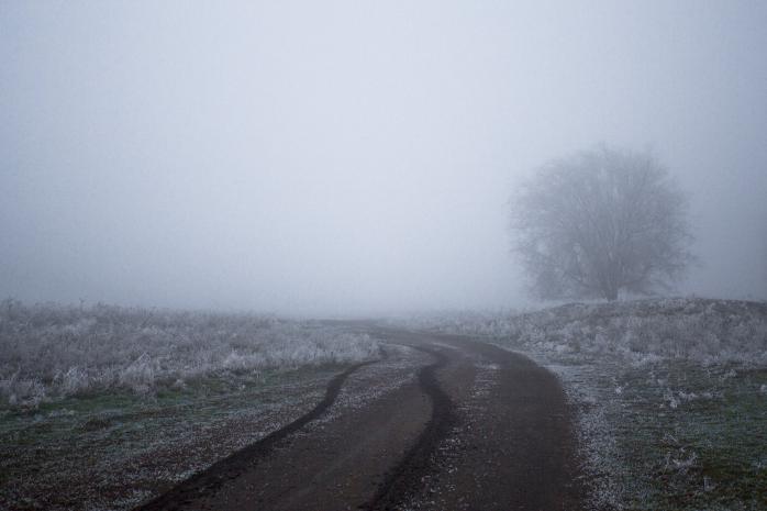 Туман. Фото: National Geographic