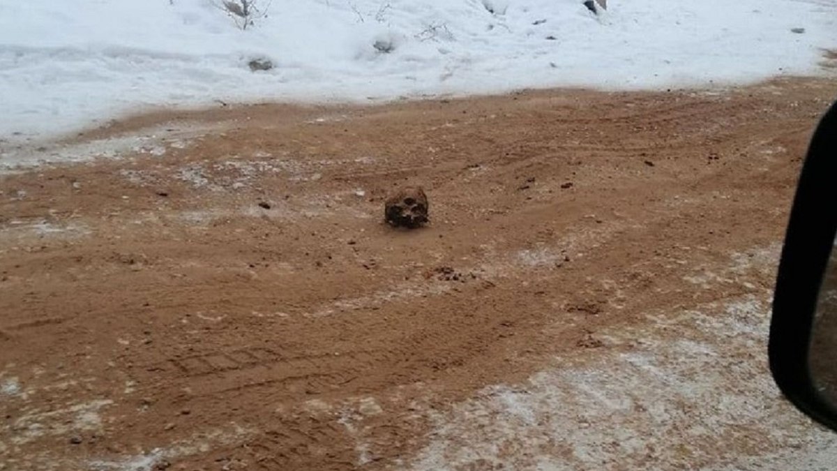 Дорогу в России посыпали песком с костями. Фото: ІркСіб