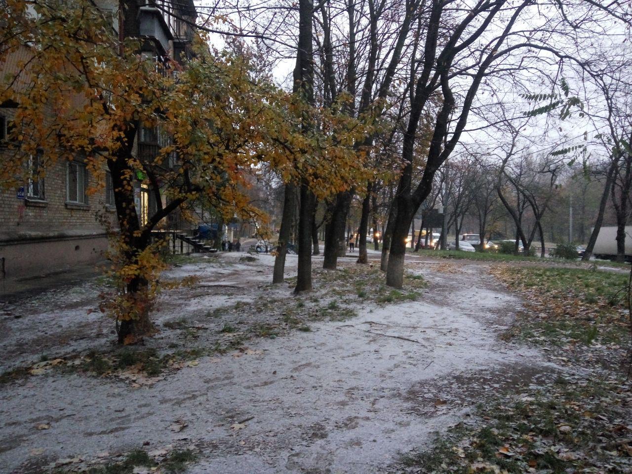 Сніг у Києві. Фото: Страна