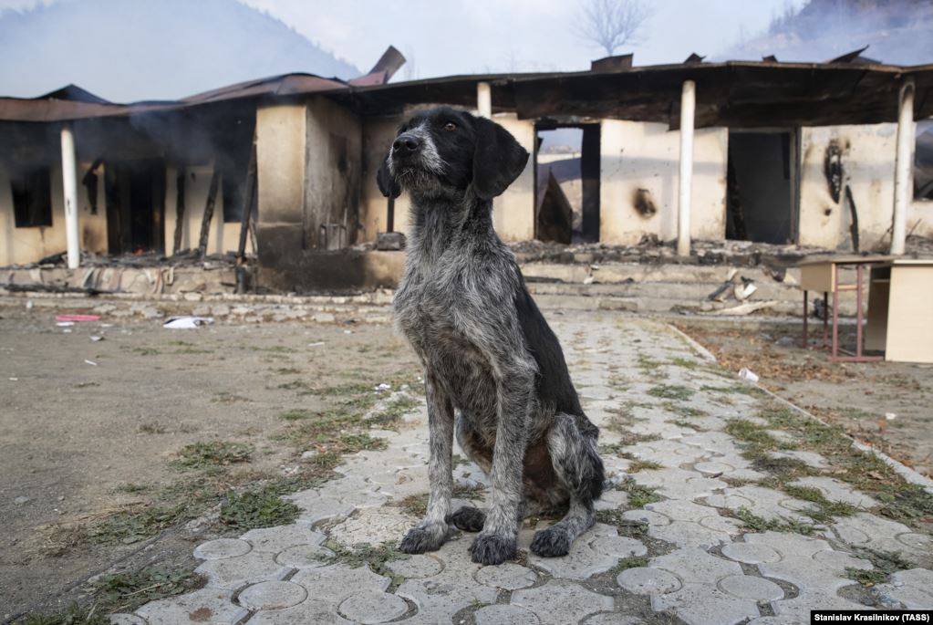 Сожженные дома оставили после себя армяне в Карабахе