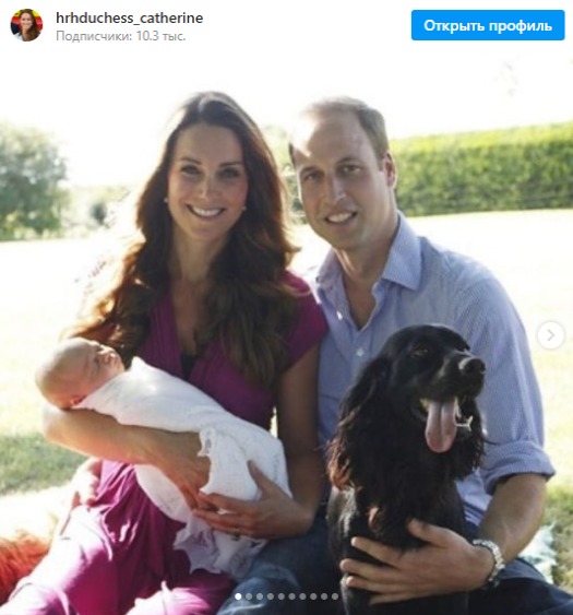Пес Лупо с королевской семьей. Фото: Instagram