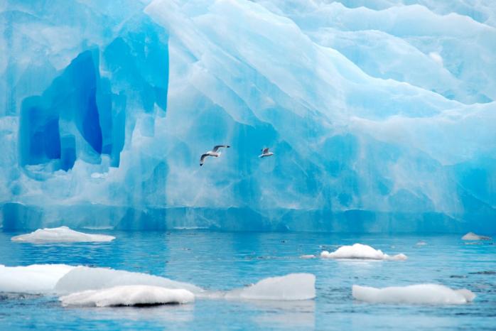 Удивительную связь между ледниками Арктики и Антарктики нашли ученые