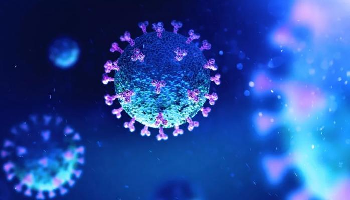 Як коронавірус проникає в мозок, встановили вчені. Фото: pl.ua