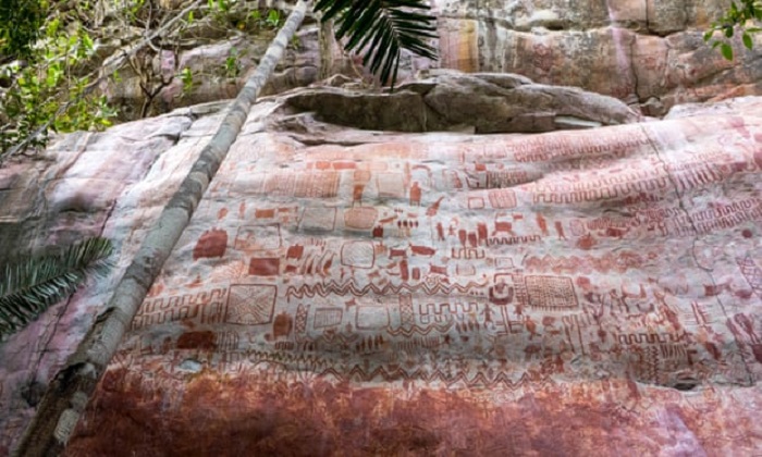 Тысячи доисторических наскальных рисунков нашли в джунглях Амазонки / The Guardian