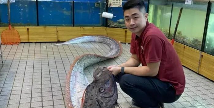 Пойманная тайваньскими рыбаками гигантская рыба, фото: Taiwan News