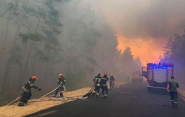 Масштабними пожежами на Луганщині займеться ТСК у Раді, фото — ДСНС