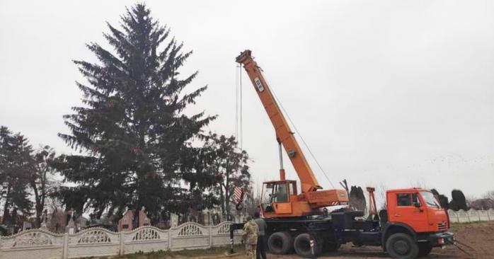 Ялинку з цвинтаря встановили у Дубно, фото: Ксенія Галицька