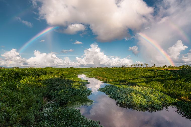 «Двойная радуга над равнинами Карони». Карони, Тринидад и Тобаго. Фото: Ziad Joseph