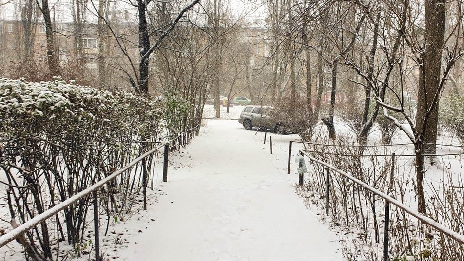 Снегопад в Киеве. Фото: РБК-Украина, Общественное