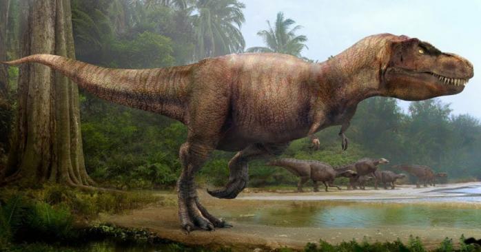 Древний цветок динозавров нашли ученые. Фото: t1news.tv