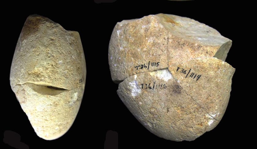 Найдавніший камінь для шліфування знайшли в Ізраїлі. Фото: haaretz