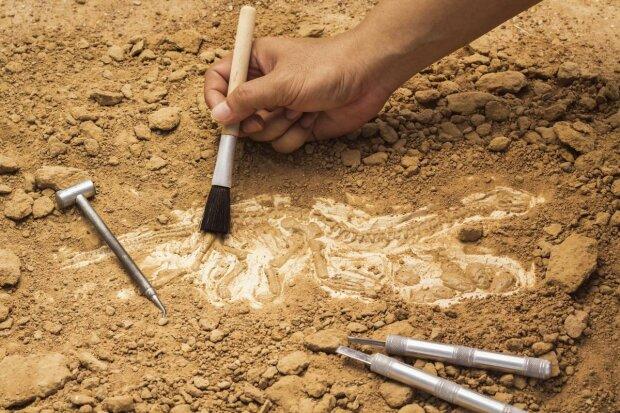 Древнейший камень для шлифовки обнаружили в Израиле. Фото: moya-planeta