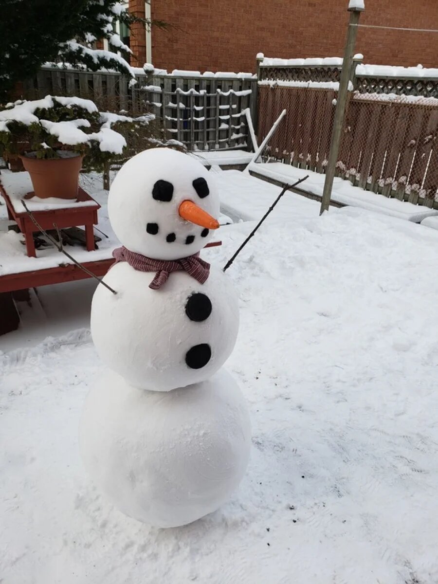 Сніговик. Фото: Reddit