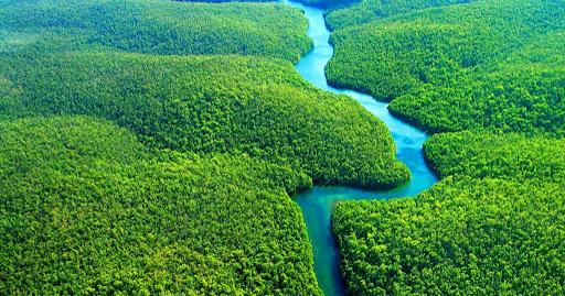 Ліси Амазонії перетворяться на посушливу рівнину через десятиліття. Фото: fountravel.ru