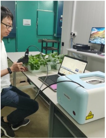 Винайшли пристрій для вимірювання стресу в рослин. Джерело: news.mit.edu