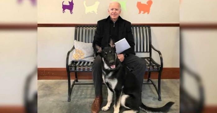 Джо Байден с собакой, фото: News9