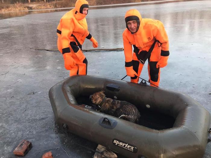 Спасатели вытащили из реки щенка в Полтаве, фото: ГСЧС
