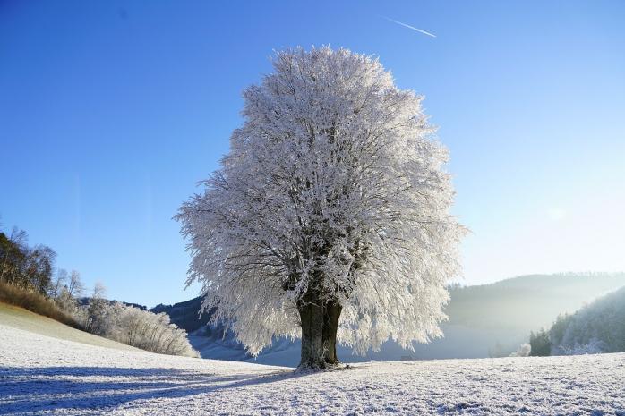 Сильные морозы заходят в Украину — погода на 11 января, фото — Pixabay