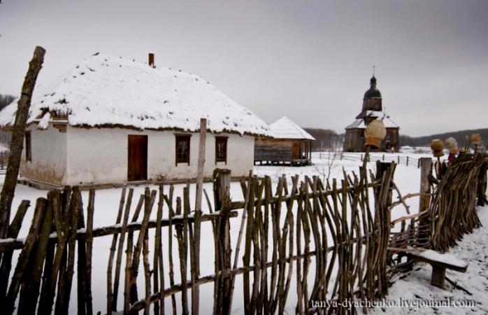 12 января отмечают день Анисии Зимней. Фото: Татьяна Дяченко