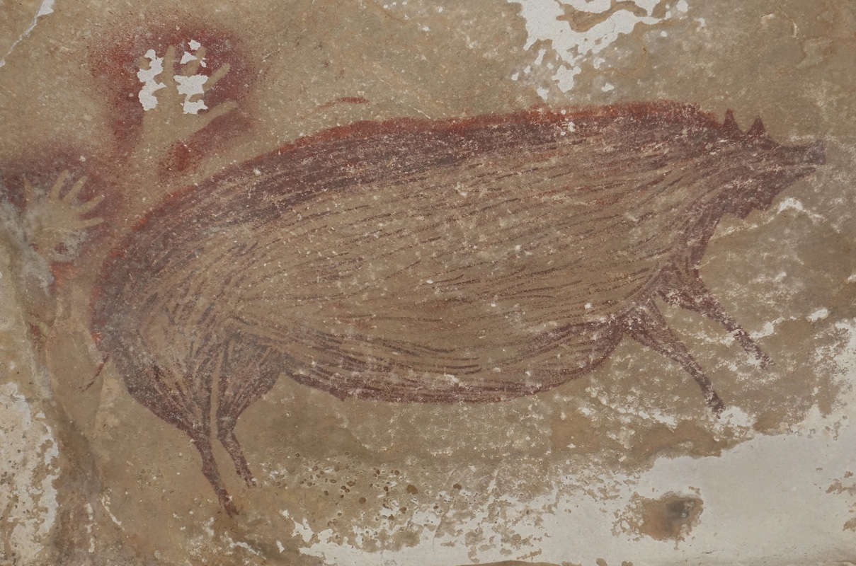 Древнейший рисунок животного нашли в индонезийской пещере. Источник: Maxime Aubert