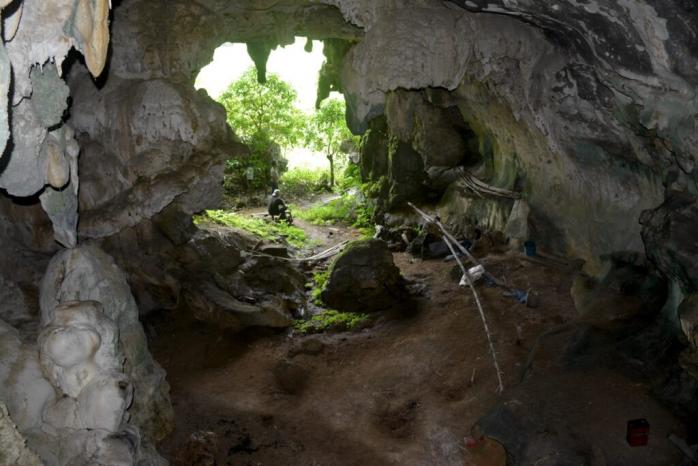 Древнейший рисунок животного нашли в индонезийской пещере. Фото: Oktaviana
