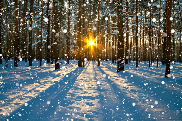 Погода в Україні на 15 січня. Фото: Istock