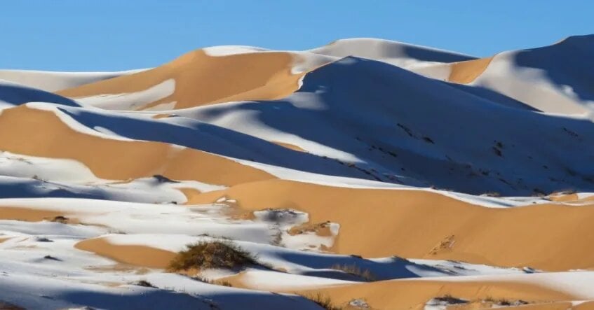 Снег в Сахаре. Фото: Instagram