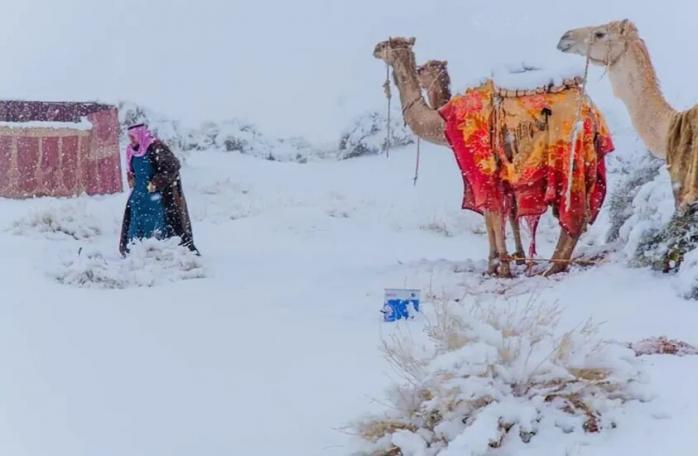 Снег в Сахаре. Фото: Instagram
