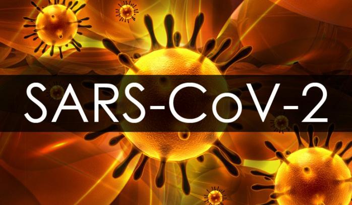 Вік коронавірусу встановили вчені. Фото: apau.org.ua