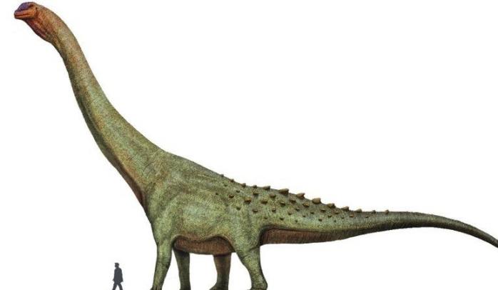 Гигантский динозавр. Фото: Natural History Museum
