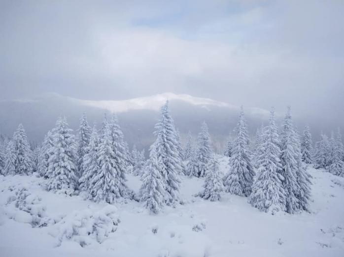 Сніг у Карпатах. Фото: «Сніголавинна ситуація в українських Карпатах» у Facebook