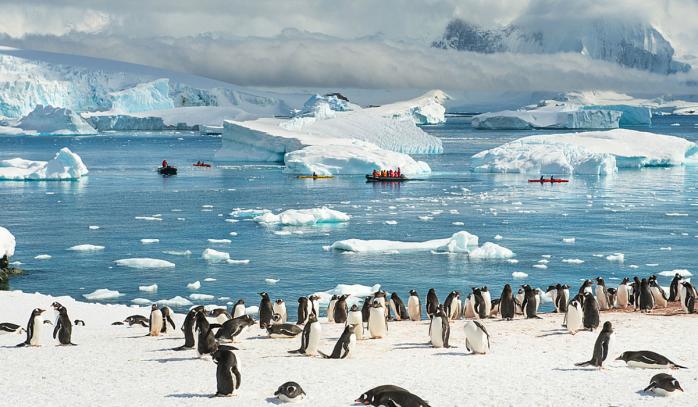 День відкриття Антарктиди відзначають 28 січня. Фото: russiadiscovery.ru