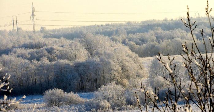 Морозы возвращаются в Украину. Фото: Светлана Балынь