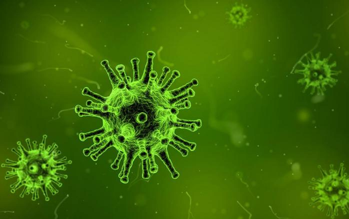 Как вирусы могут помочь своим хозяевам выжить, рассказали ученые. Фото: indicator.ru