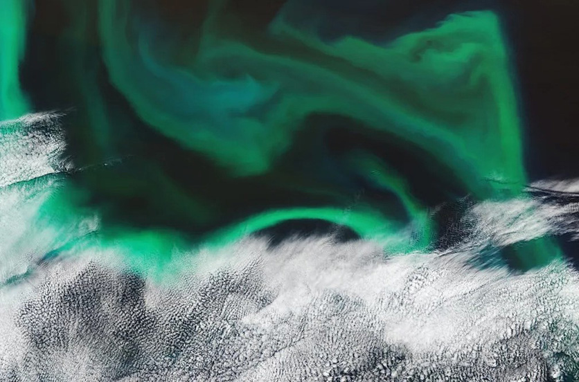 Водоросли в Тихом океане из космоса похожи на полярное сияние. Фото: 4pda