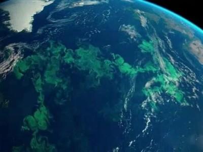 Водорості в Тихому океані з космосу схожі на Полярне сяйво. Фото: 4pda